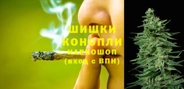 шишки Сафоново