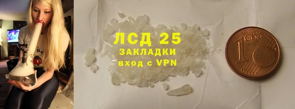 PSILOCYBIN Белокуриха
