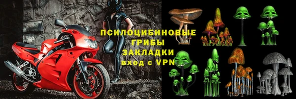 PSILOCYBIN Белокуриха